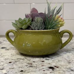 Faux succulent In Ceramic Bowl 