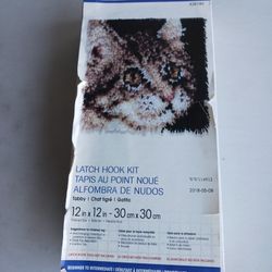 Wonderart Latch Hook Kit Tabby Cat