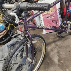 Specialized  Rock Hopper Bike 