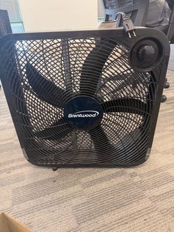 Fan
