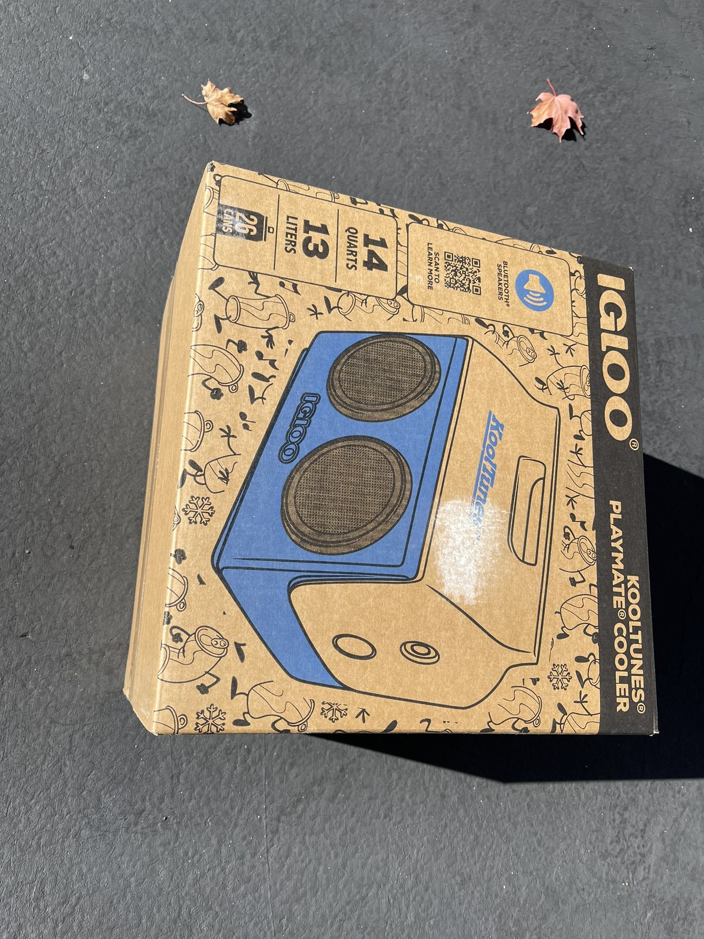 IGLOO Kooltunes Cooler 