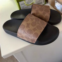  Coach slides