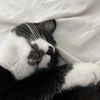 Micah