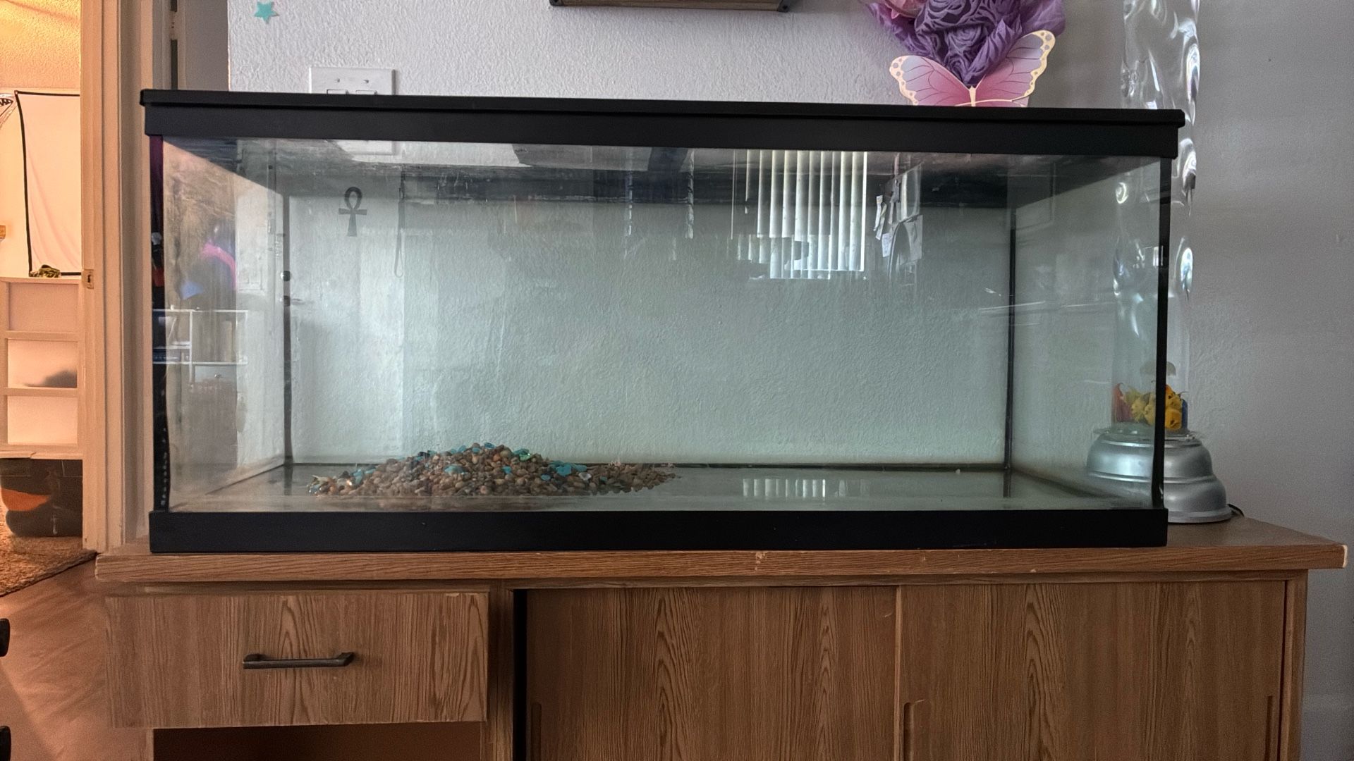 Large Fish Tank W/stand