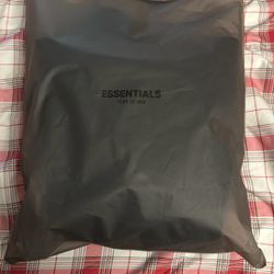 Essentials Hoodie Size M Brand New 100% authentic 