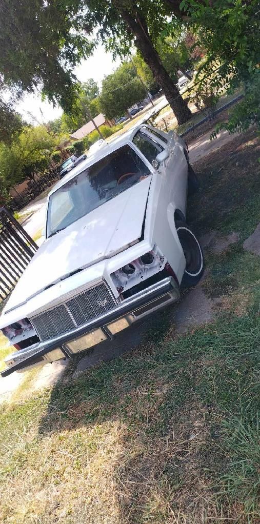 1981 Buick Regal