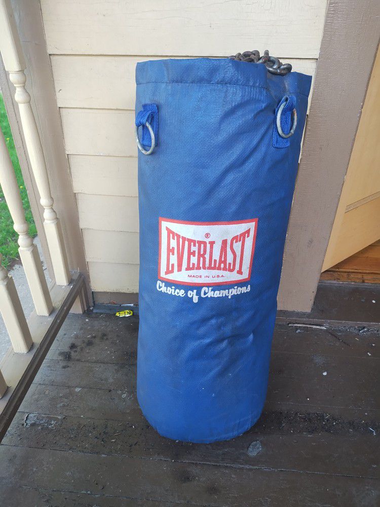 Everlast Punching Bag And Set Of  Gel Title Gloves