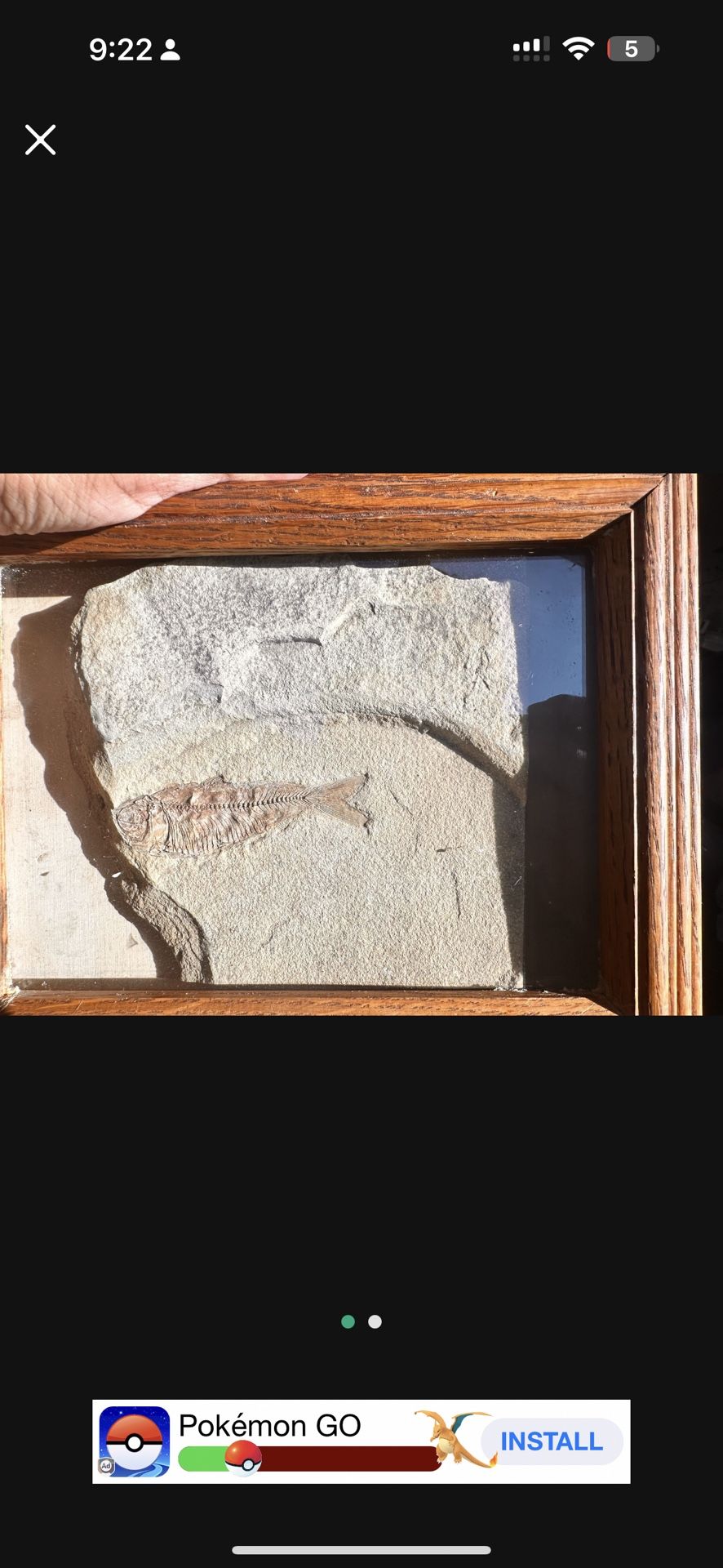 Fossil