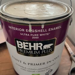 Behr Premium Plus Interior Paint