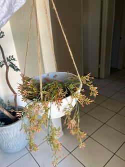 Faux hanging plant 12” diameter
