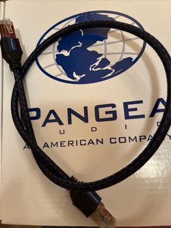 Pangea Ethernet cable