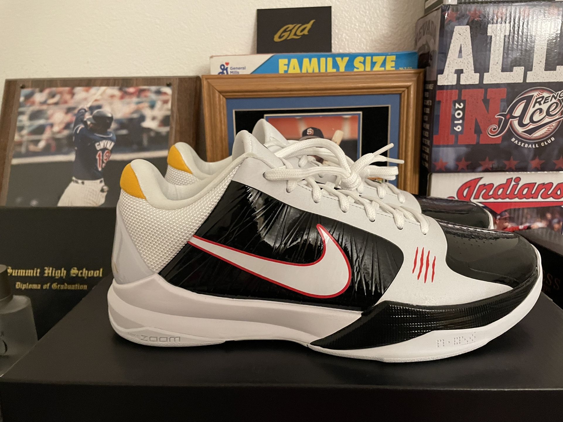 KOBE V PROTRO BRUCE LEE ALTERNATE