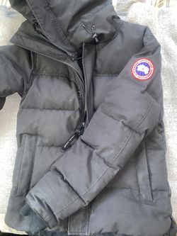 Canada Goose