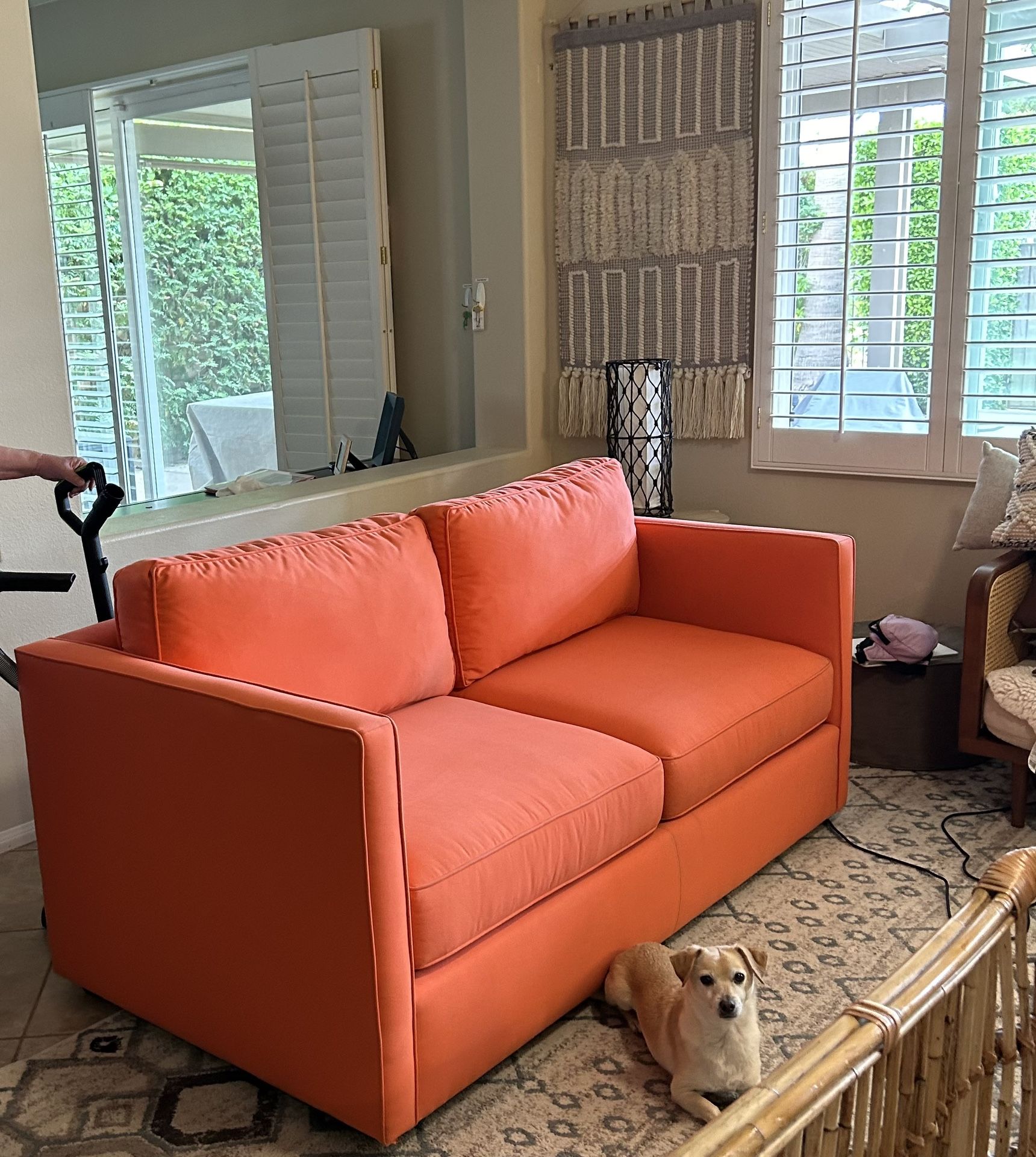 Sleeper Sofa
