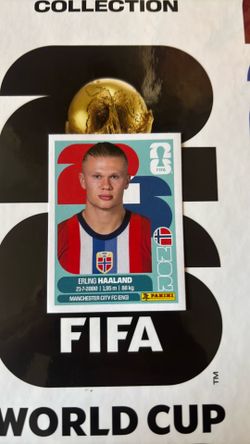 Erling haaland fifa World Cup panini sticker