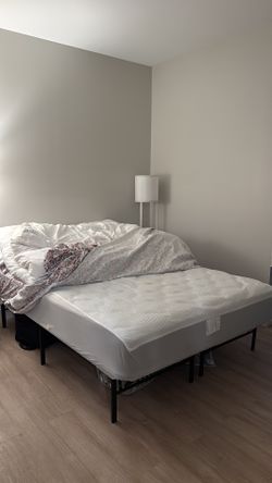 Whole Queen Bed (Mattress and sturdy metal frame)