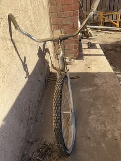 Abandoned Beach Cruiser Needs TLC