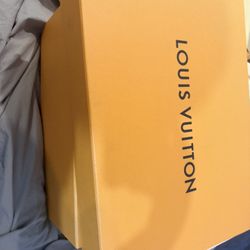 Never full Louis Vuitton 