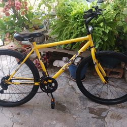 Titan Pioneer 26" Mountain Bike