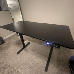 Electric Standing Desk 