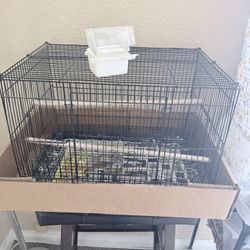 Bird Cage