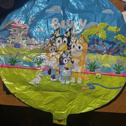 Bluey Birthday Items