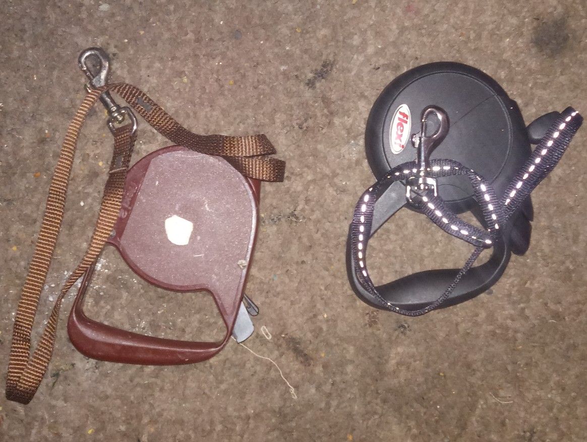 Two Dog Leashes 