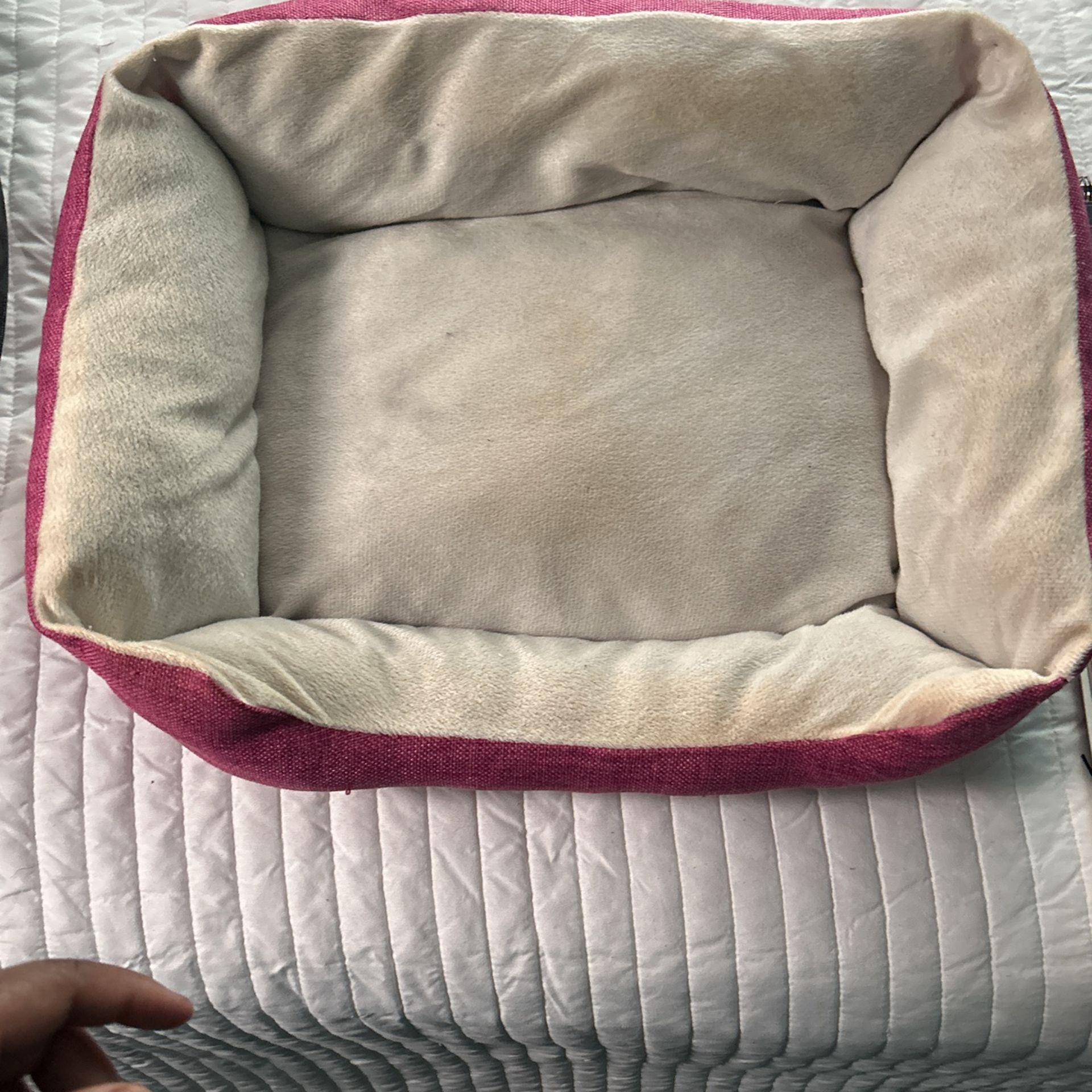 Pet bed