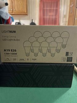 Light Bulbs 