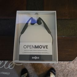 Shokz Open Move Headphones