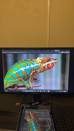 ASUS Monitor