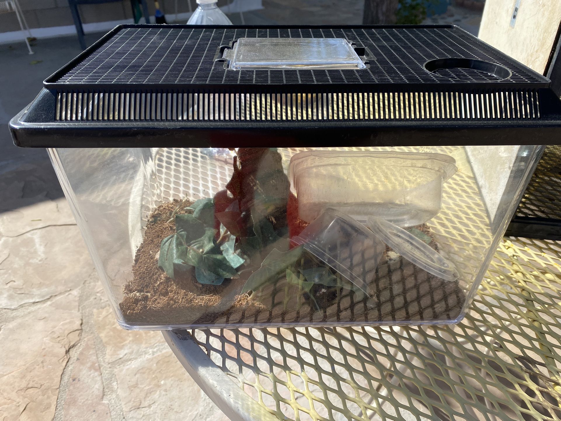 Terrarium / Insect Or Reptile Enclosure