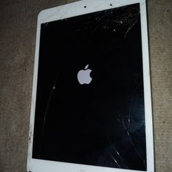 Apple iPad Mini