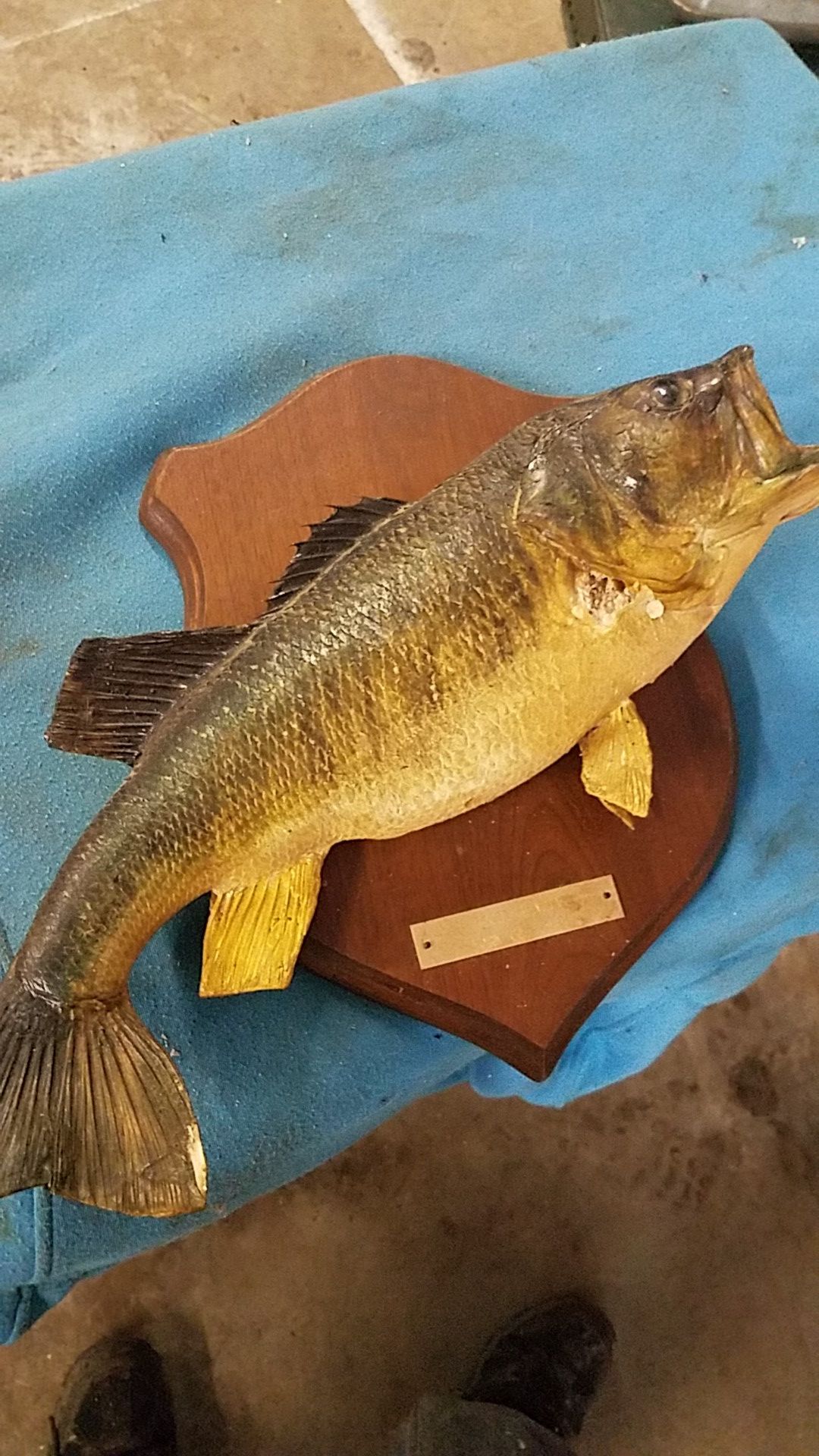 Bass wall mount