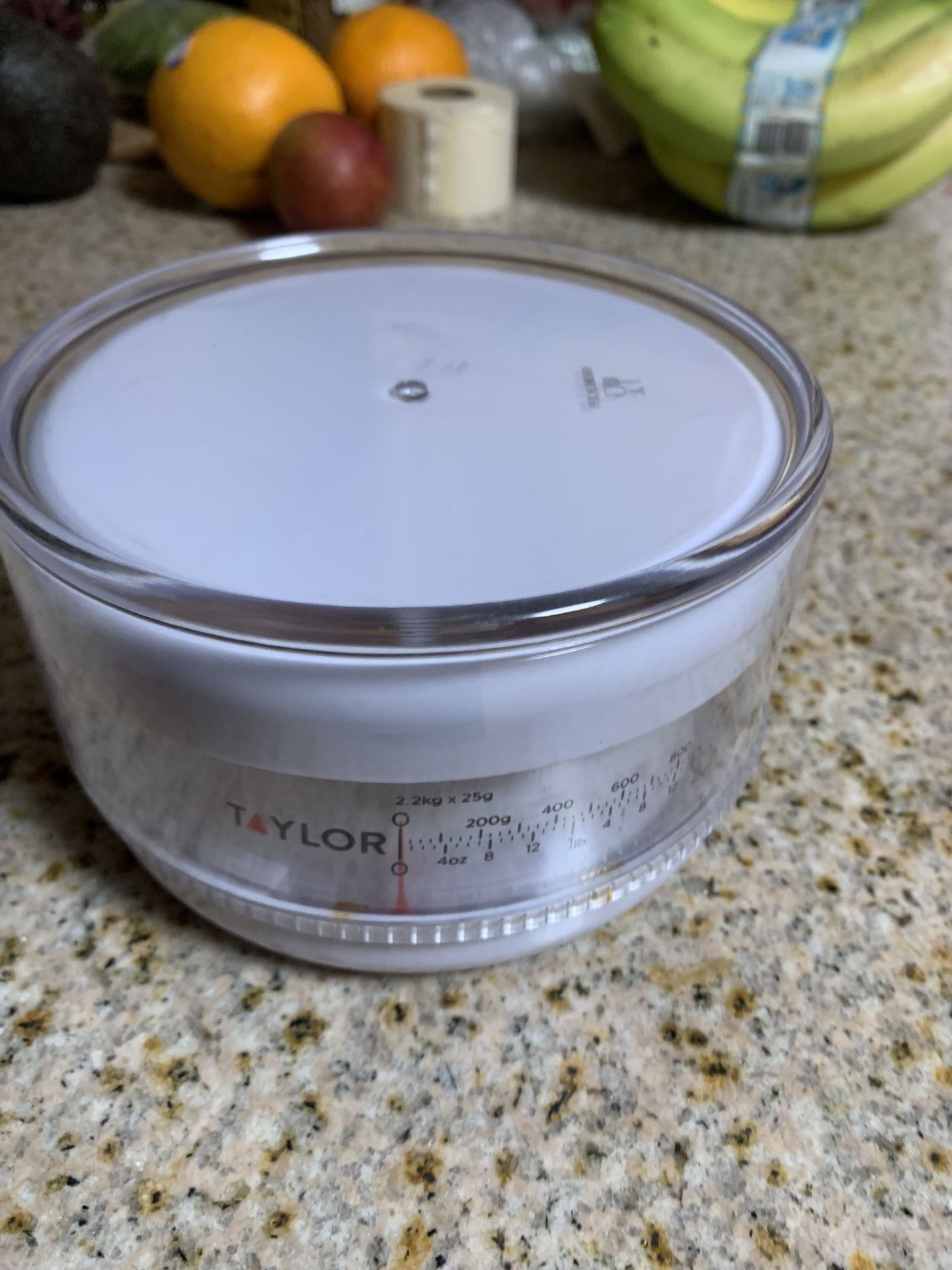 Taylor Kitchen Scale
