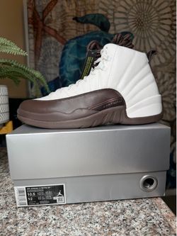 Size10.5 Jordan 12 Retro