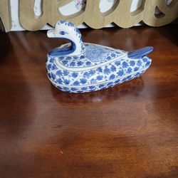 Blue And White Duck