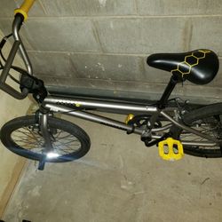 New Mongoose Bike 