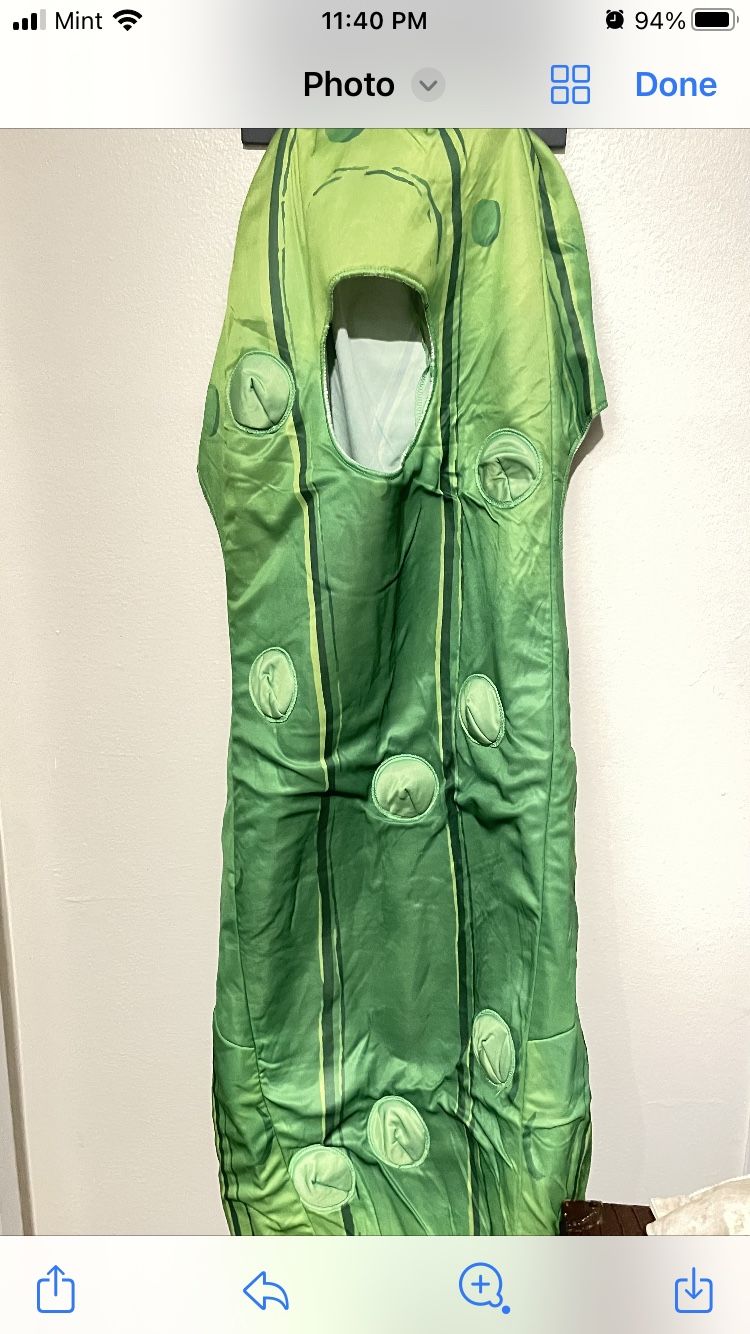 Pickle Costume 
