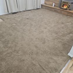 Free brown carpet