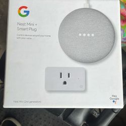 Google Nest Mini+smart Plug