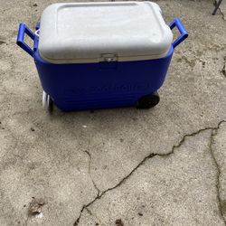 Igloo Cooler 
