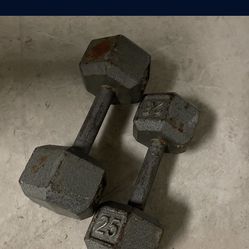 25 Pound Dumbbell  Need these gone as soon as possible ASAP