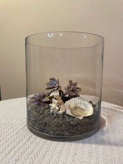 Large 9” Glass Cylinder Terrarium / Hurricane Vase with Succulents, Stone, Coral & Seashells
