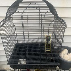 Bird Cage 