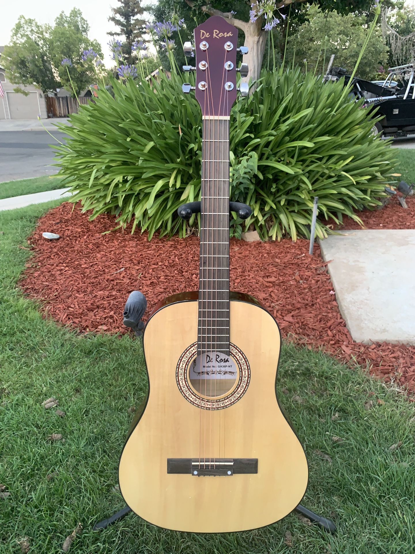 Brand New Guitar