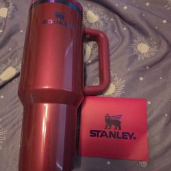 Stanley Valentine's Day 2025 40 Oz Tumbler 