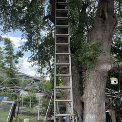 16 Feet Extended Ladder