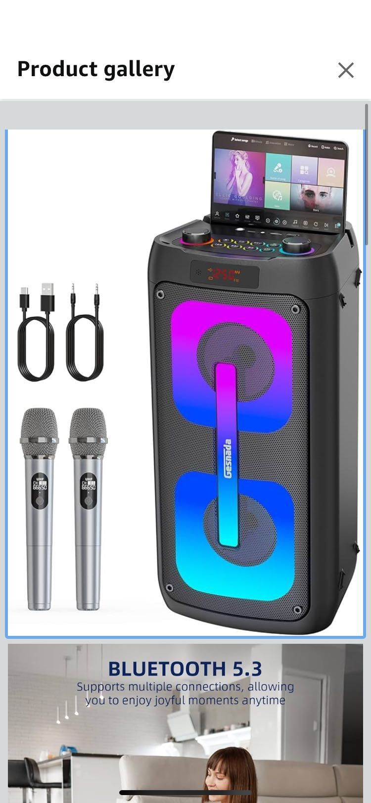 Karaoke Machine for Adults, Portable Bluetooth Speaker with 2 Wireless Microphones, Portable PA Syst