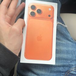 iPhone 17 Pro Max 256 Gb Unlocked